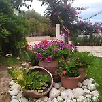 Mary's House