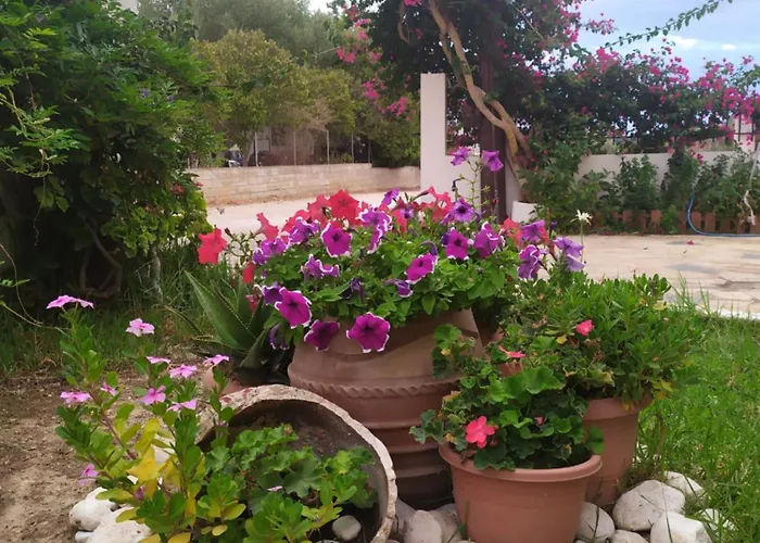 Mary's House * ארגוסטולי